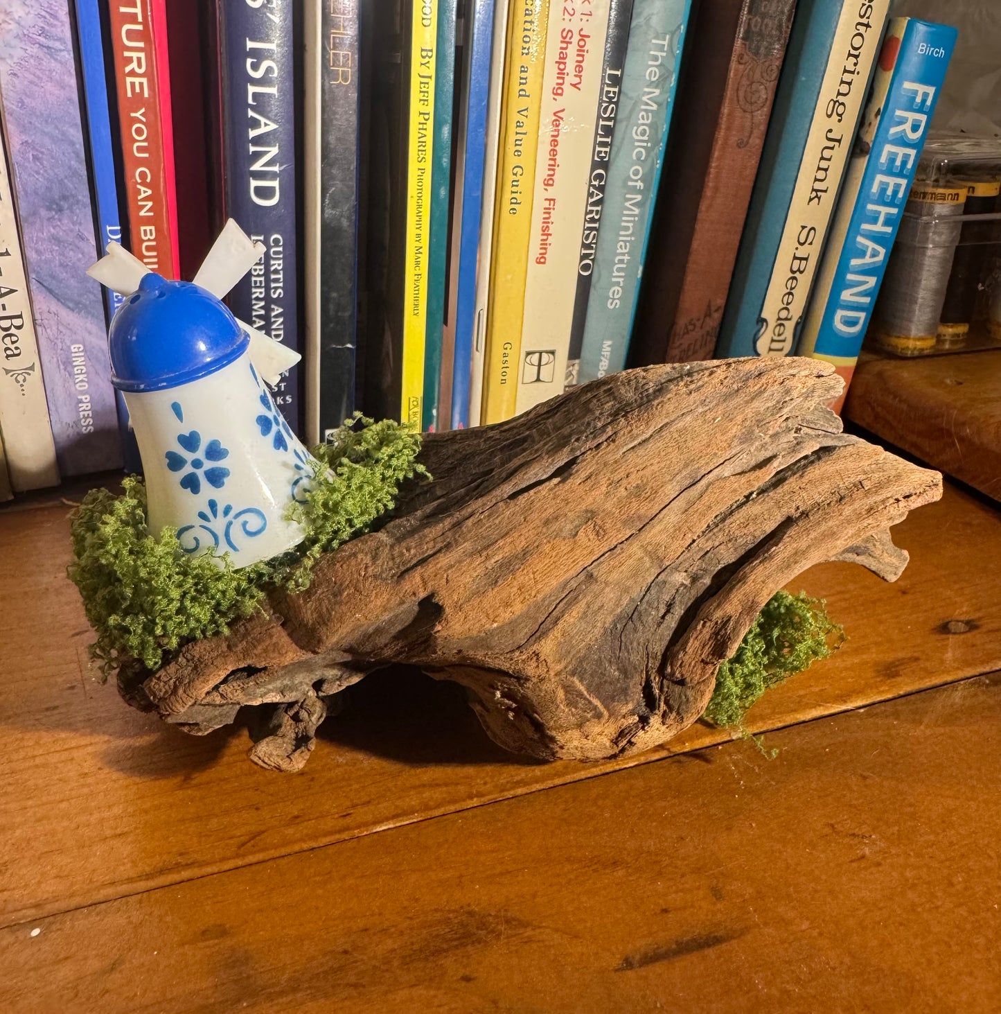 Field Mouse By The Sea