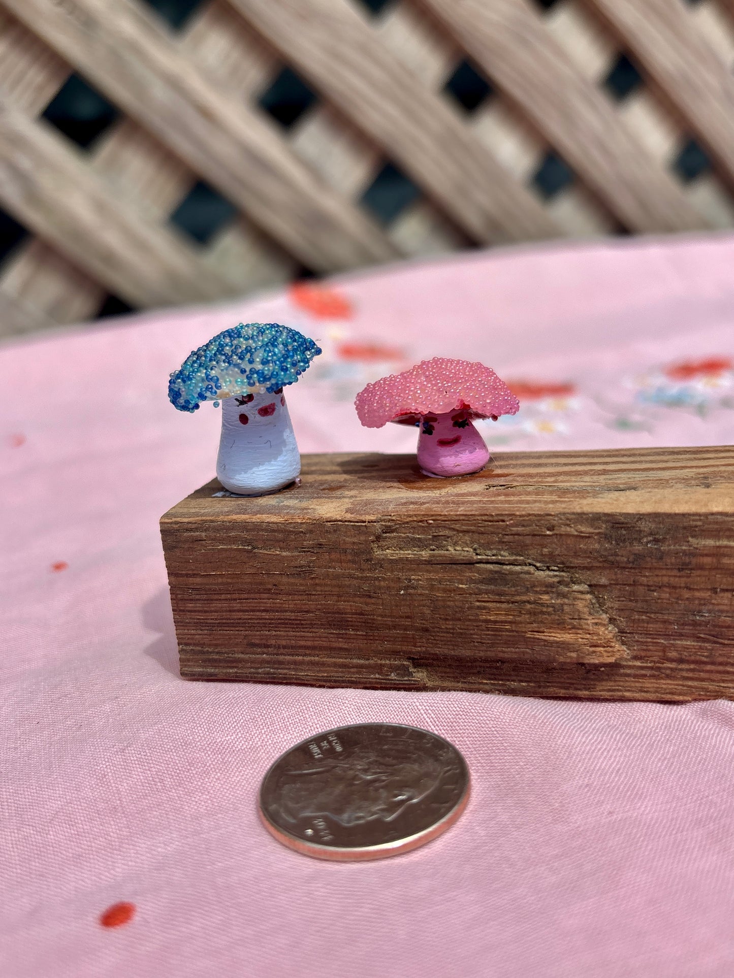 Mushroom Mini Fun Guy (fungi) Peter & Paul