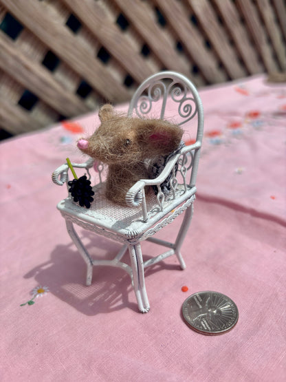 Mouse on Chair